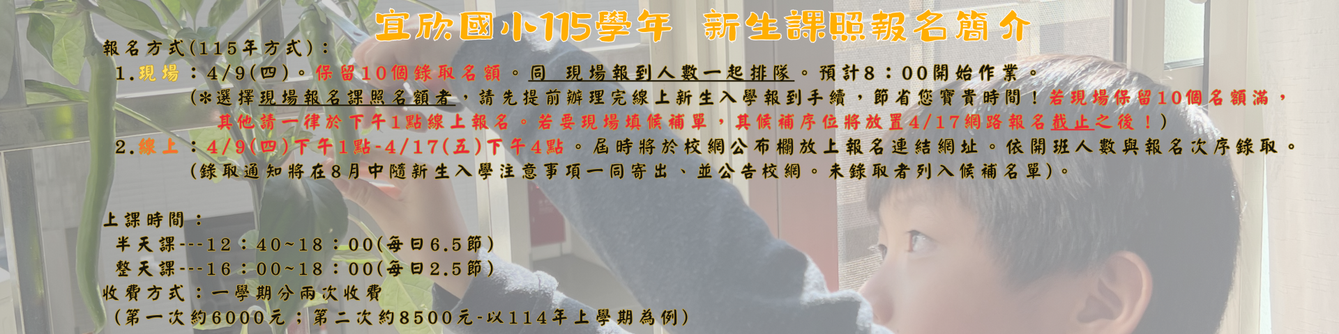 115學年度課照招生訊息